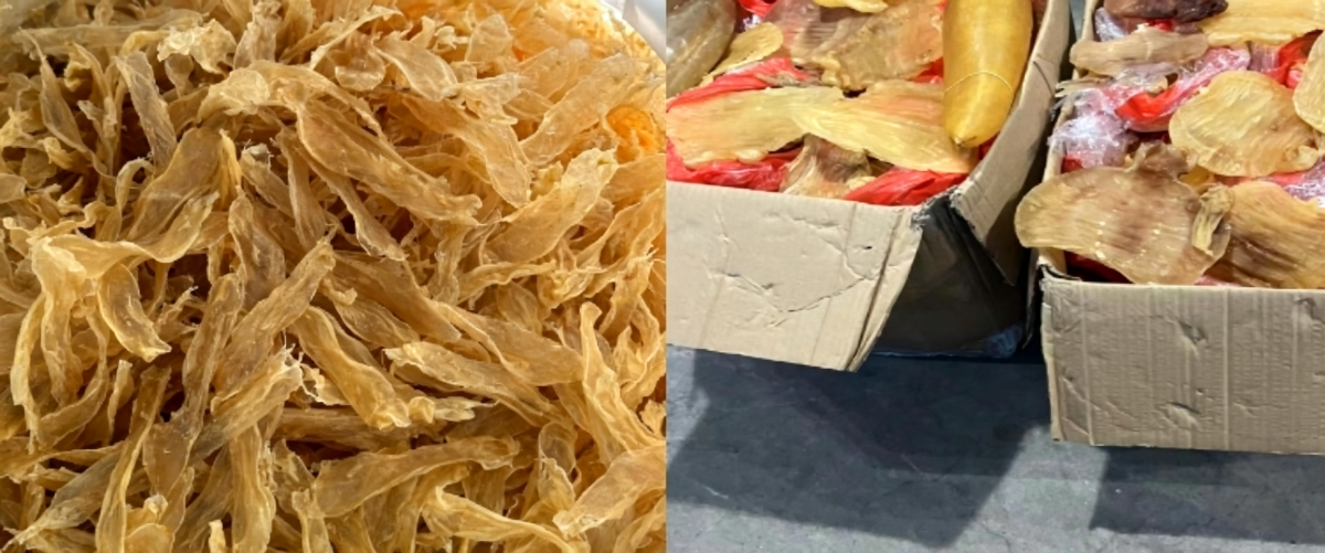 香港食品环保销毁公司-保税区过期进出口食品销毁（欢迎来电咨询）.png